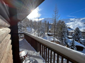 PARADIS LODGE, chalet altitude 2000m, Vue, Plagne Centre, 200m des pistes